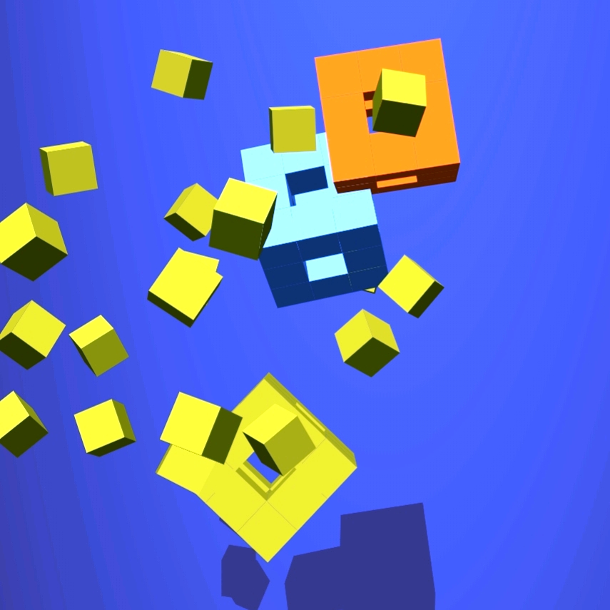 Motion Block Ninja